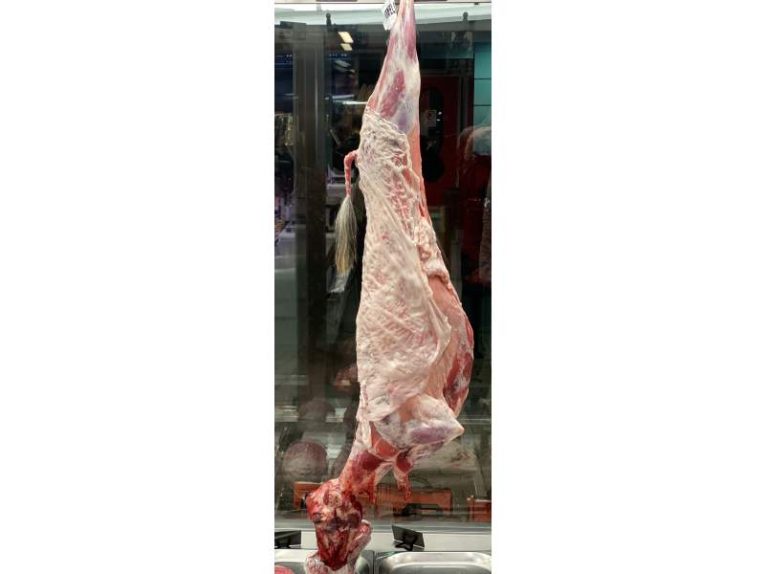 75_katsiki_olokliro_mk_ms